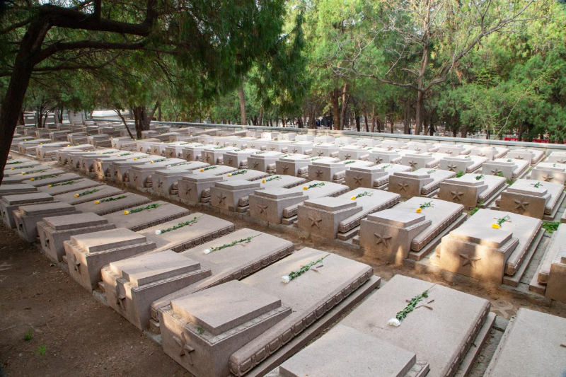 清明，一枝鲜花敬先烈——济南革命烈士陵园开展“铸魂·2024·清明祭英烈”主题悼念活动
